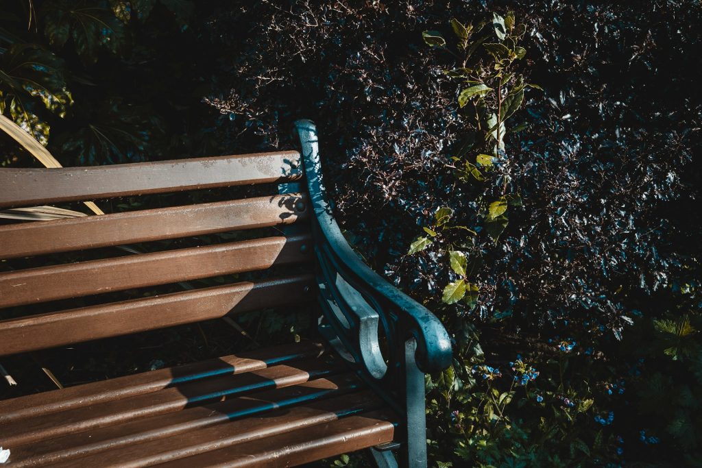 Public Bench