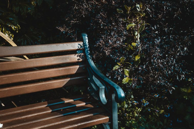 Public Bench